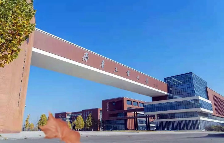 齐鲁工业大学